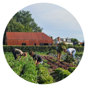 Lidmaatschap LOCOtuinen